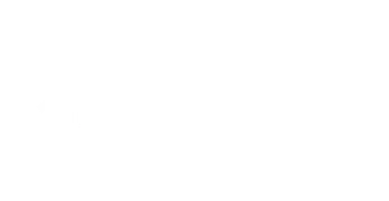 Virginia SEO Company